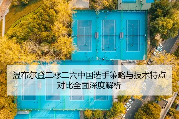 wen-bu-er-deng-er-ling-er-liu-zhong-guo-xuan-shou-ce-lve-yu-ji-shu-te-dian-dui-bi-quan-mian-shen-du-jie-xi-2-164.jpg