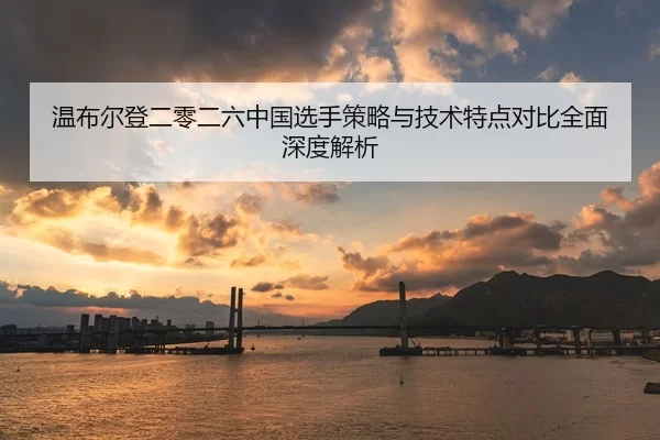 温布尔登二零二六中国选手策略与技术特点对比全面深度解析